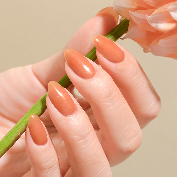 ジェルミーワン / ジェルミーワン(ソフトジェル, ネイル・ネイルグッズ