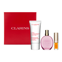 【専用ページ】LANCOME パレット ＋ Clarins ハニーグラム セット Beauty to go キット / クラランス(メイクアップキット, キット