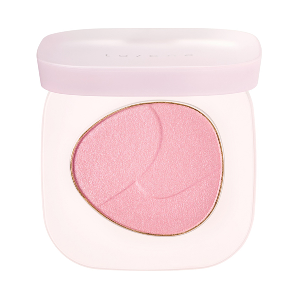 �ȡ��� �ڥ��� �ե����� �֥�å��� / EX13 / 2.5g