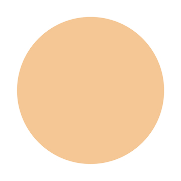 スティックコンシーラー EX 02