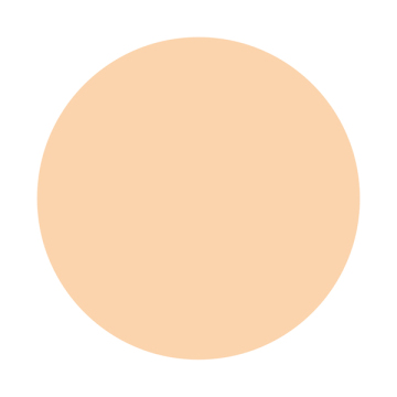 スティックコンシーラー EX 02