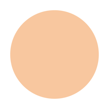 しっとりツヤ肌 パウダーファンデ EX 02