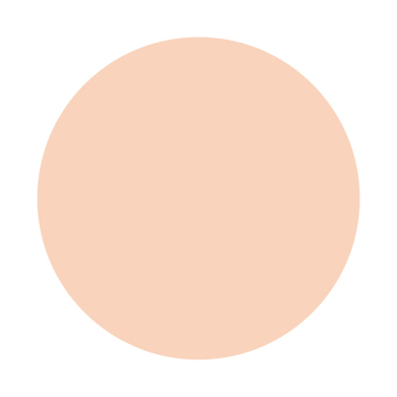 しっとりツヤ肌 パウダーファンデ EX 02