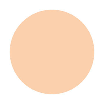 しっとりツヤ肌 パウダーファンデ EX 02