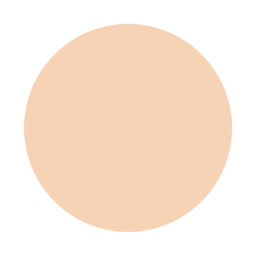 しっとりツヤ肌 パウダーファンデ EX 02