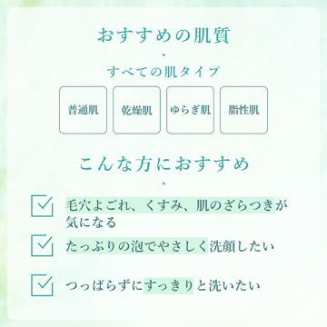 リセット クレイ ウォッシング フォーム N 04