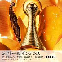 ジャドール インテンス / ディオール(香水, 香水・ヘアフレグランス)の