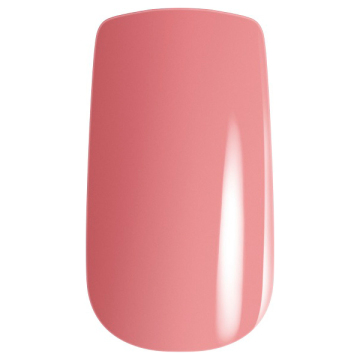 エクシア ヴェルニ 03