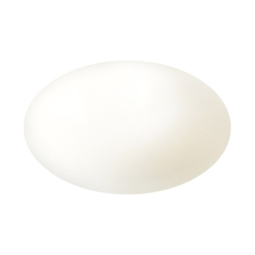 ホワイトニング エフフォーリア クリーム 02