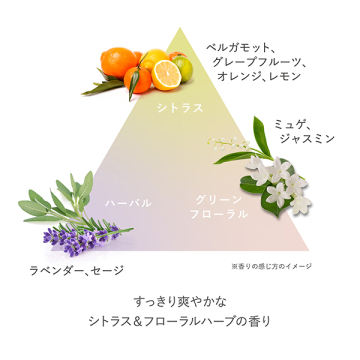 セラム クレンジングオイル 04