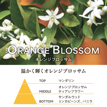 アブソリュートシャワージェルオレンジブロッサム 02