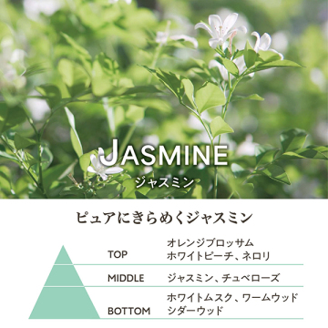 アブソリュートシャワージェルジャスミン 02