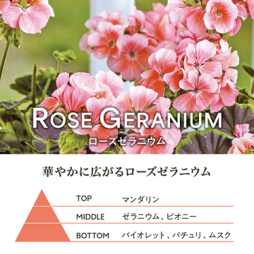 アブソリュートシャワージェルローズゼラニウム 02