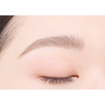 パウダーペンシルアイブロウ 05