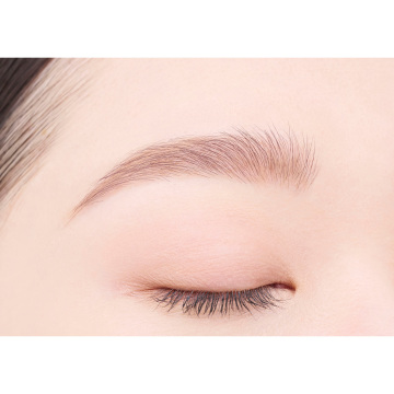 パウダーペンシルアイブロウ 05