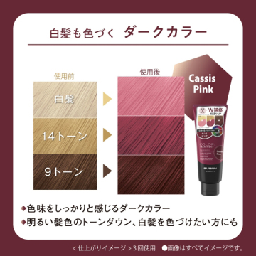 エブリカラートリートメント 04