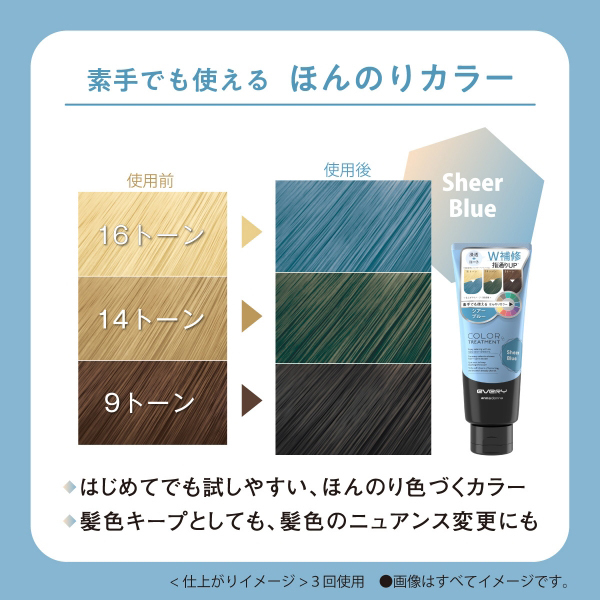 【6本セット】アンナドンナエブリカラートリートメント　ブルー エブリ カラートリートメント仕上がりイメージ｜明るい髪の場合