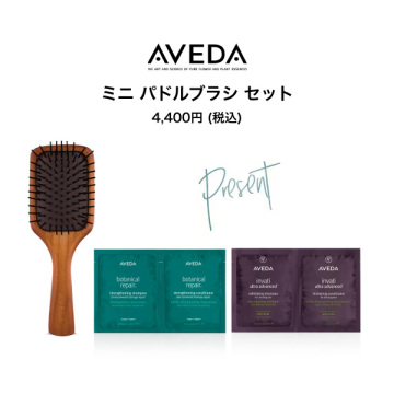 【1,200ポイントバック】ミニ パドルブラシ セット 02