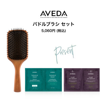 【1,380ポイントバック】パドルブラシ セット 02