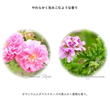 エンリッチバイオセラム ミニ 04