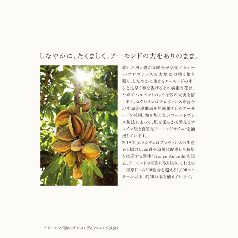アマンドスブリーム シャワーオイル / ロクシタン(ボディソープ