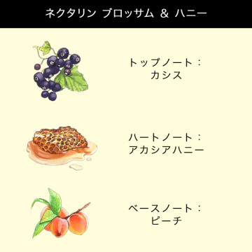 【1,320ポイントバック】トラベル コロン デュオ ギフトセット(イングリッシュ ペアー & フリージア/ウッド セージ & シー ソルト) 05