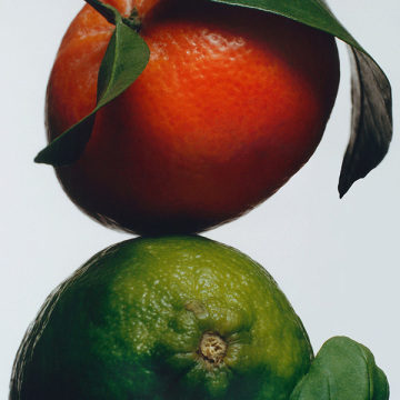 ライム バジル アンド マンダリン ルーム スプレー 02