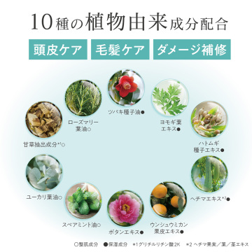 ヘッドクレンズ 05