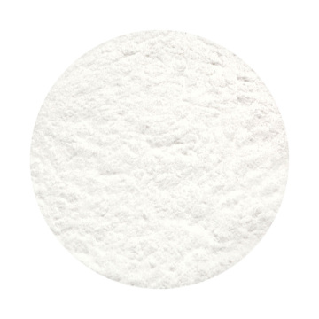 エバーラスティング ルース パウダー 03