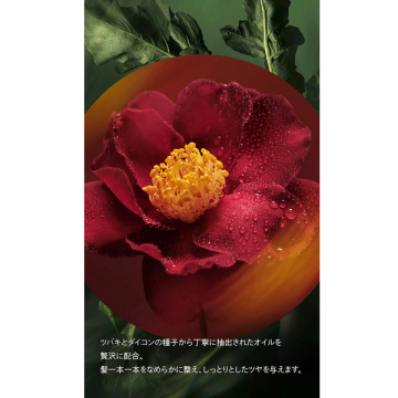 【mini COSME】【お一人様1点限り】【次回現品ご購入で使える700円オフクーポン付き】コンセントレイト シャイン オイル 03