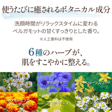 ルミナスフォーム 05