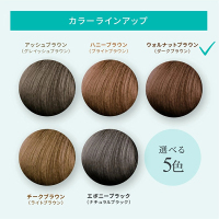 LPLP ヘアカラートリートメント ウォルナットブラウン170g 5本セット essence カラートリートメント 単品限定セット / ルプルプ(白髪染め