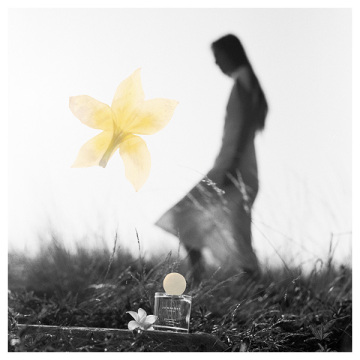 フランジパニ フラワー ハンド クリーム 04