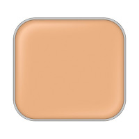 詰替え / 211 / 10g