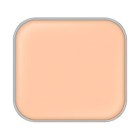 詰替え / 200 / 10g