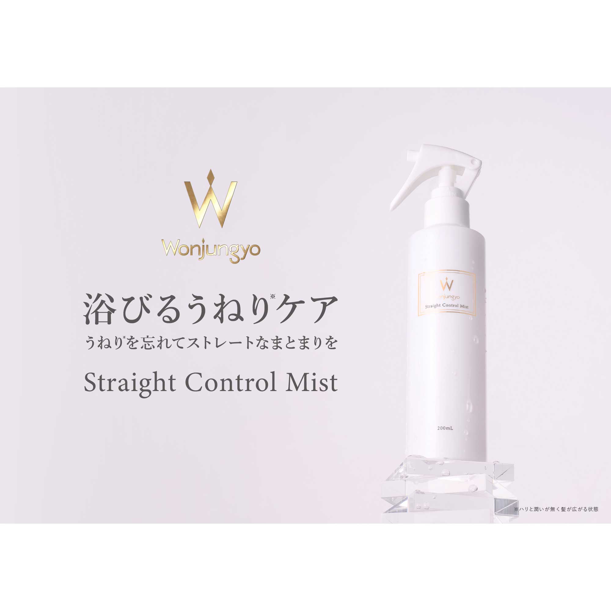 ストレートコントロールミスト / 200mL 1