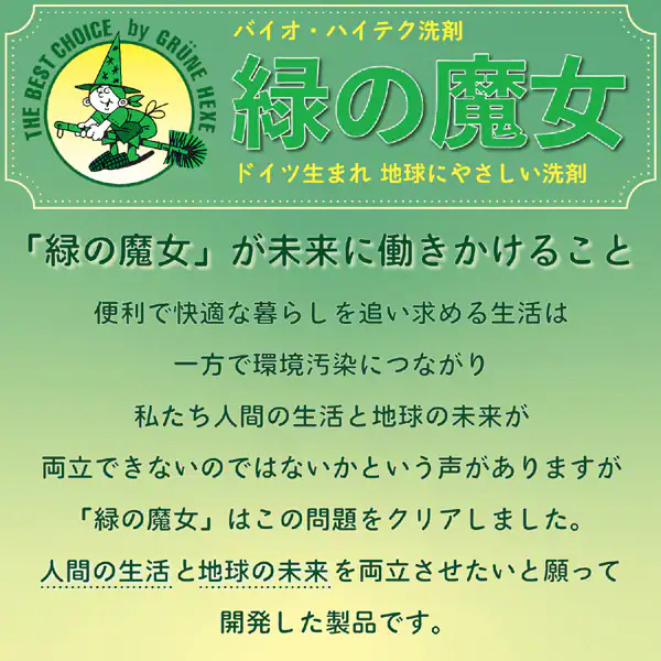 泡タイプ トイレ(トイレ用洗剤) / 450ml / 本体 / ミントの香り 1