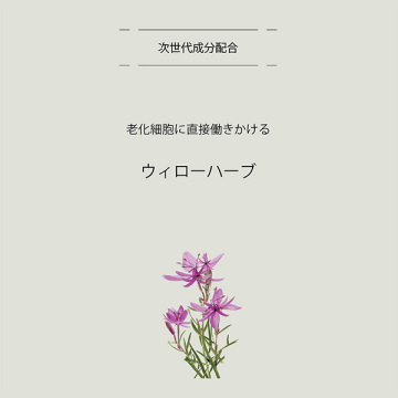 シートマスク リフトアップ 04