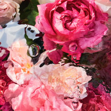 アベイユ ロイヤル&ミニフレグランスセット 05