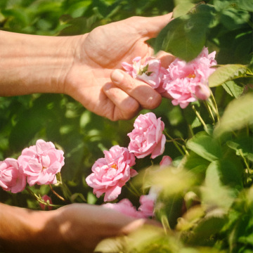 ラ プティット ローブ ノワール オーデトワレ 03