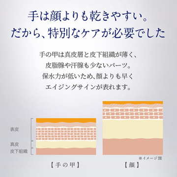 フランキンセンスインテンスハンドセラム(ハンドセラムミニ付) 03