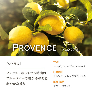 エッセンシャルズロールオントワレ 02