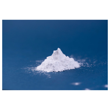 ほたてのめがみ 04