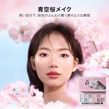 エクスプローラ12色アイシャドウパレット 03