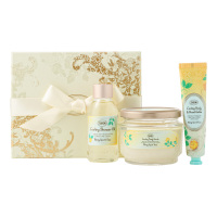 非売品　Johannes Voss　スパークリートークン10枚セット スクラブキット ミンティスパーク・ユズ / SABON(サボン)(その他ボディ