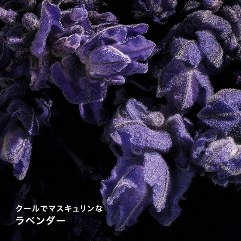 YSL リブレ ギフトセット / イヴ・サンローラン(香水, 香水・ヘア