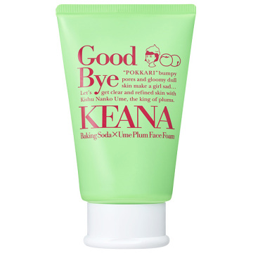 【入荷次第販売開始】紀州南高梅の重曹泡洗顔 02
