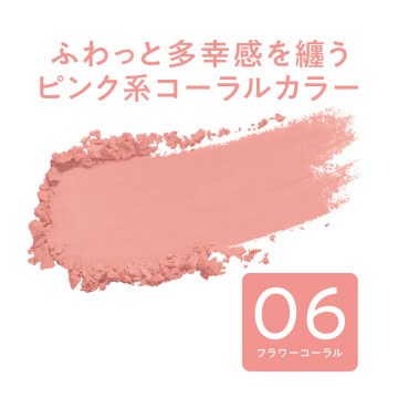 チークブラッシュ 02