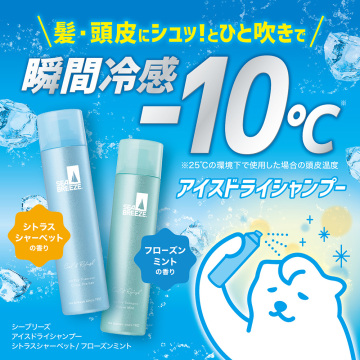 アイスドライシャンプー 02