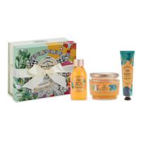 スクラブキット パパイヤ・ロコ / 100mL、320g、30mL